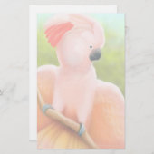 Moluccanオウムの文房具 便箋 (正面/裏面)