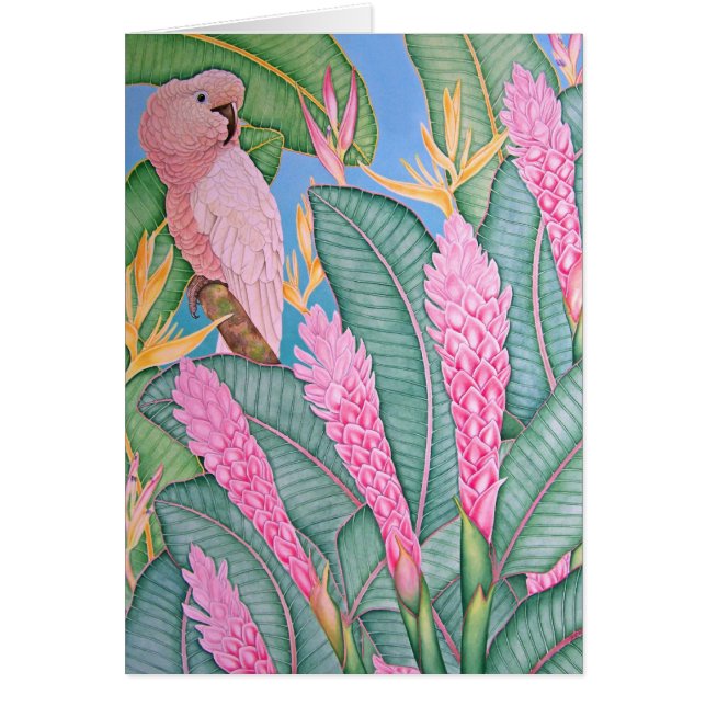 Moluccanオウム (正面)