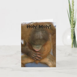 Molyの神聖なおもしろいな精管切除 カード