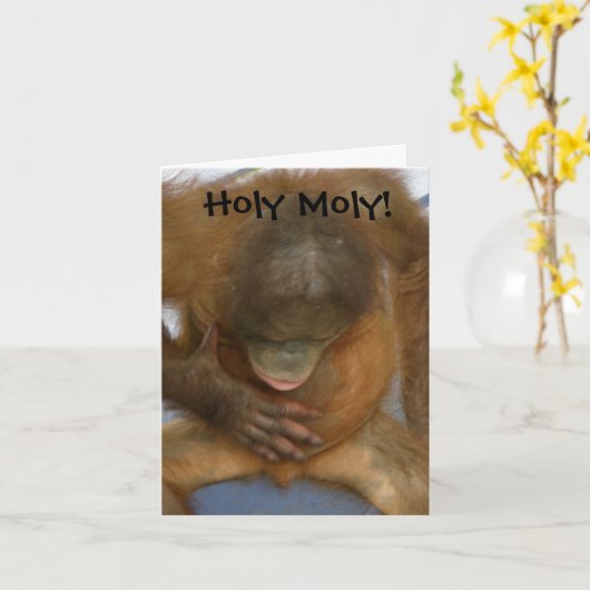 Molyの神聖なおもしろいな精管切除 カード (黄色い花)