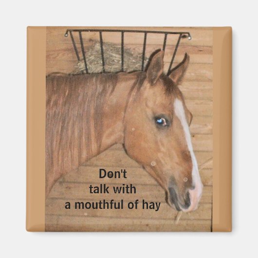 Momからのレッスン – マグネット (正面)