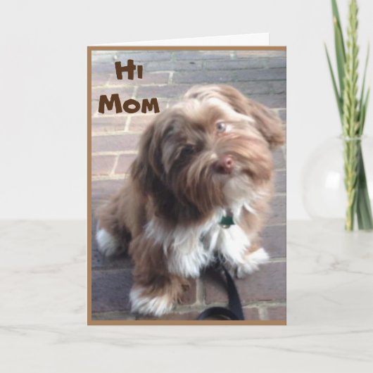 **MOM**お子様の誕生日上 カード (正面)