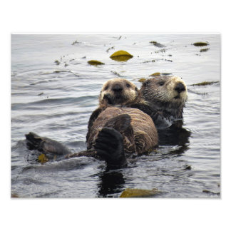Mom and Pup Sea Otter フォトプリント