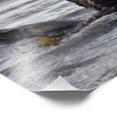 Mom and Pup Sea Otter フォトプリント (角)