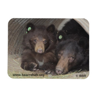 Mom & cub 2013プレミアムフレキシマグネット マグネット