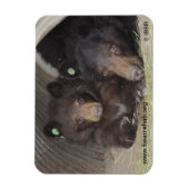 Mom & cub 2013プレミアムフレキシマグネット マグネット (縦)