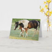 Mom & Newborn Paint Filly カード (黄色い花)
