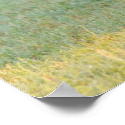 Mom & Newborn Paint Filly ポスター (角)