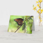 Moment Greeting Cardのキャプチャ カード (黄色い花)