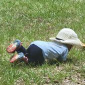 Mommy'sベビー幼児 – おもしろいギフトアイディアベビーTシャツ ベビーTシャツ