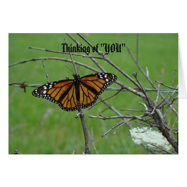 Monachの開いた翼、"あなた"の考えること (正面横)