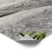 Monadnock Mountain ポスター (角)