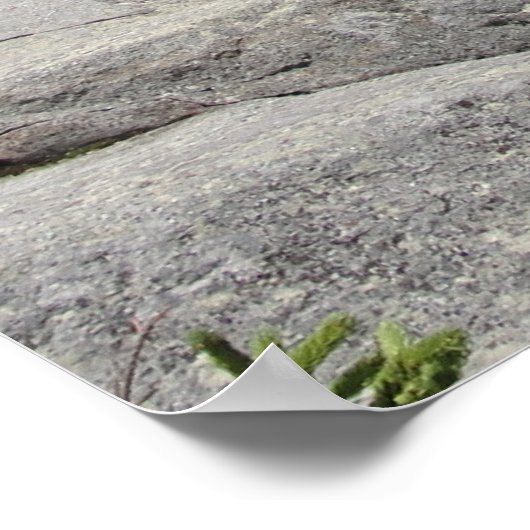 Monadnock Mountain ポスター (角)