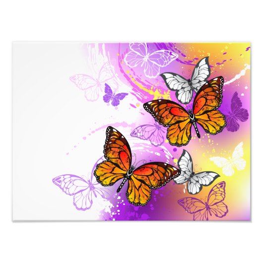 Monarch Butterflies on Purple Background フォトプリント (正面)