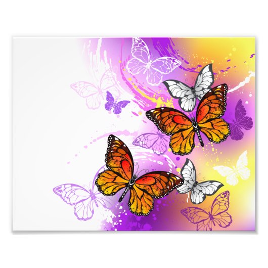 Monarch Butterflies on Purple Background フォトプリント (正面)