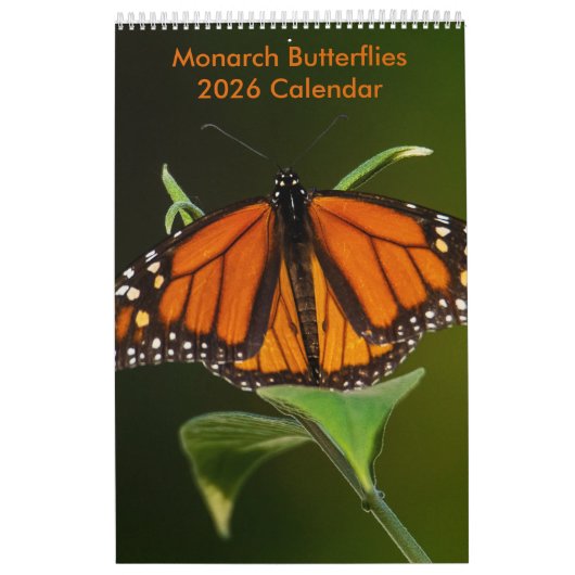 Monarch Butterflies One Page Calendar カレンダー (カバー)