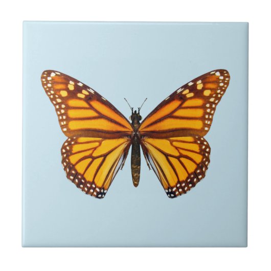 Monarch Butterfly タイル (正面)