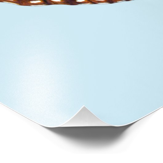 Monarch Butterfly フォトプリント (角)