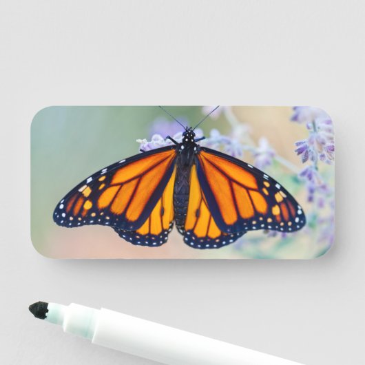 Monarch Butterfly 名札 (インサイチュ)