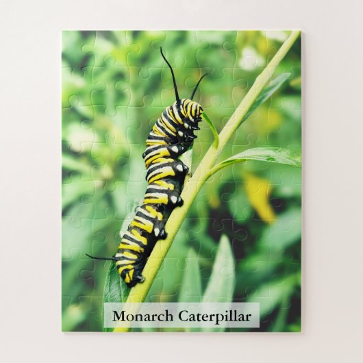 Monarch Butterfly Caterpillar on Swan Plant 56 Pcs ジグソーパズル (縦)