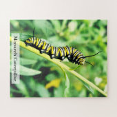 Monarch Butterfly Caterpillar on Swan Plant 56 Pcs ジグソーパズル (横)