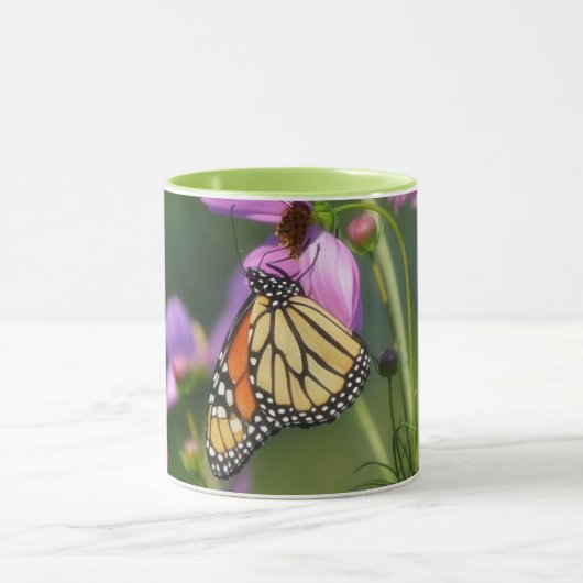 Monarch Butterfly Close Up Mug Cup マグカップ (中央)