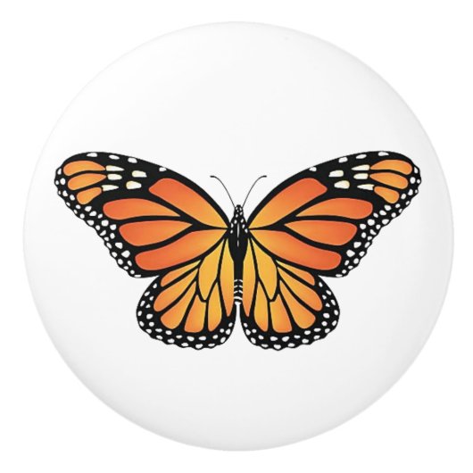 Monarch Butterfly drawer knobs セラミックノブ (正面)