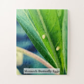 Monarch Butterfly Eggs 30Pcs ジグソーパズル (縦)