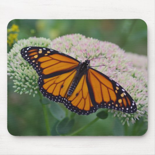 Monarch Butterfly Mouse Pad マウスパッド (正面)