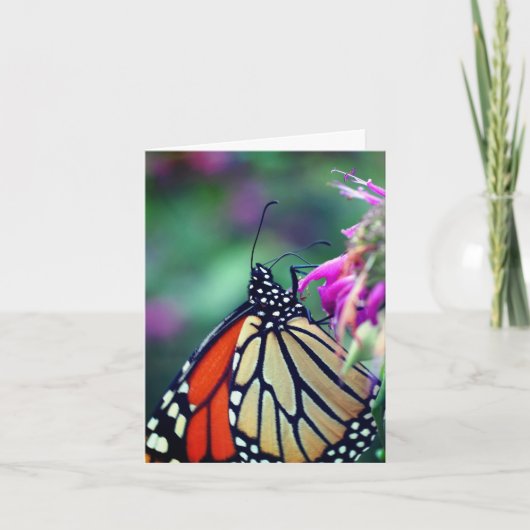 Monarch Butterfly Nature Photography  ノートカード (正面)