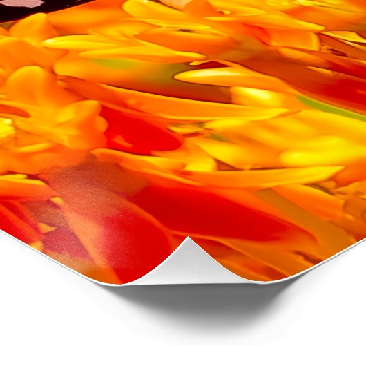 Monarch butterfly on butterfly bush ポスター (コーナー)