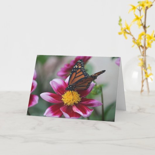 Monarch Butterfly on Deep Pink Dahlia Photo Blank カード (黄色い花)