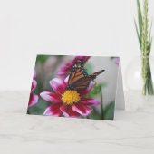 Monarch Butterfly on Deep Pink Dahlia Photo Blank カード (正面)