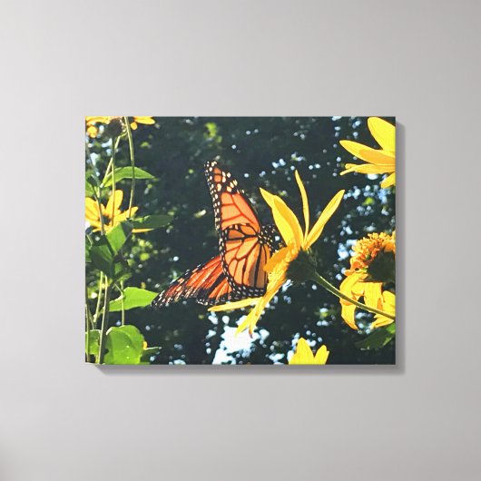 Monarch Butterfly on Flower Photograph  キャンバスプリント (正面)