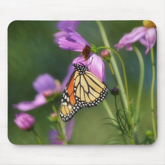 Monarch Butterfly On Pink Flowers Mousepad マウスパッド (正面)