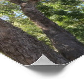 Monarch Butterfly on Purple Flowers ポスター (角)