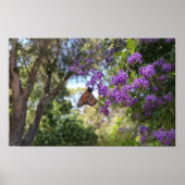 Monarch Butterfly on Purple Flowers ポスター (正面)