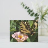 Monarch Butterfly Postcard ポストカード (スタンド正面)