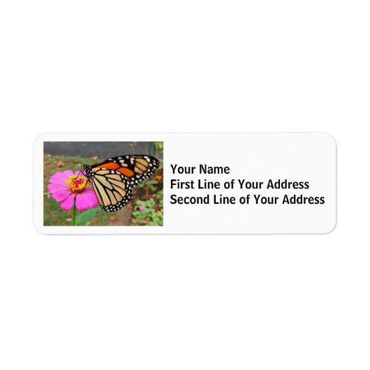 Monarch Butterfly Sipping a Pink Zinnia ラベル (正面)