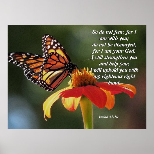 Monarch Butterfly Sunflower Flower Poster ポスター (正面)