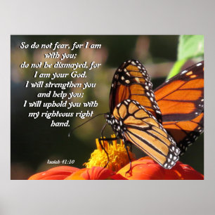 Monarch Butterfly Sunflower Flower Poster ポスター