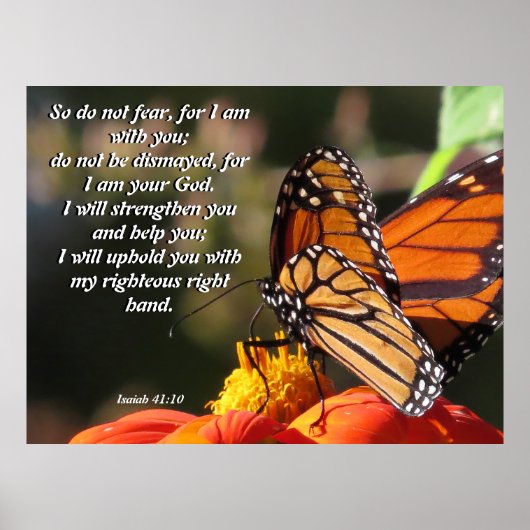 Monarch Butterfly Sunflower Flower Poster ポスター (正面)