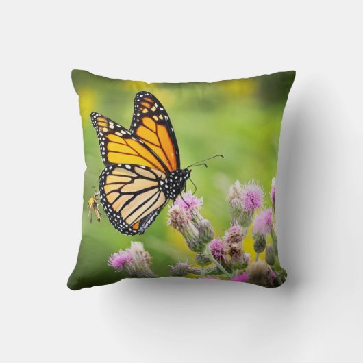 Monarch on Thistle クッション (裏面)