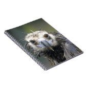 Mönchsgeier ノートブック (右側)