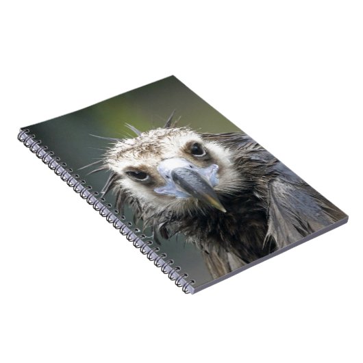 Mönchsgeier ノートブック (右側)