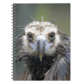 Mönchsgeier ノートブック (正面)