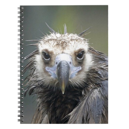 Mönchsgeier ノートブック (正面)