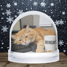 Monday Office Cat, Fun Cats meme Snow Globe