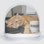 Monday Office Cat, Fun Cats meme Snow Globe (正面)