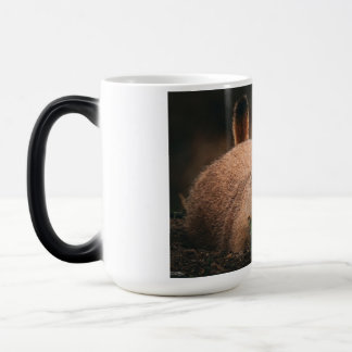 Mondays.. モーフィングマグカップ